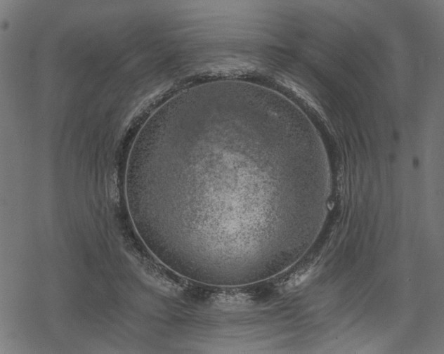 X0000068850403200605081220