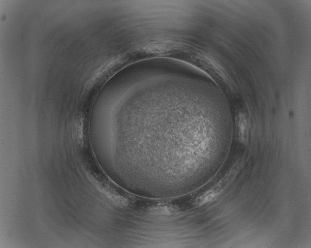 X0000068850404200605081220