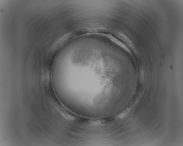 X0000068850405200605081220