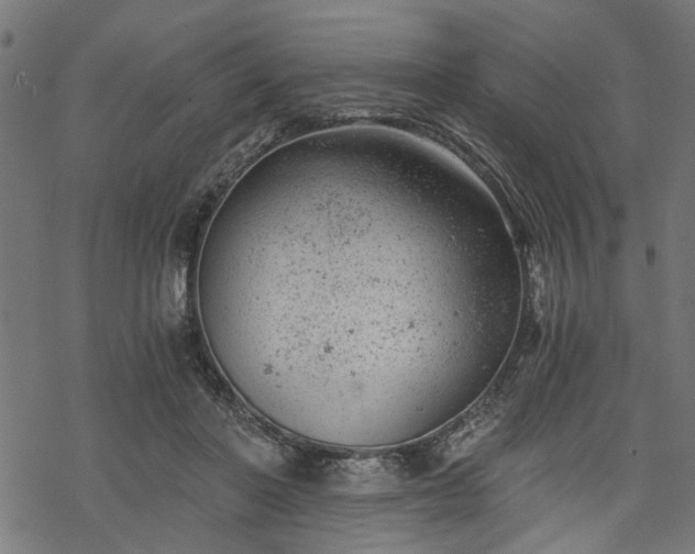 X0000068850406200605081220