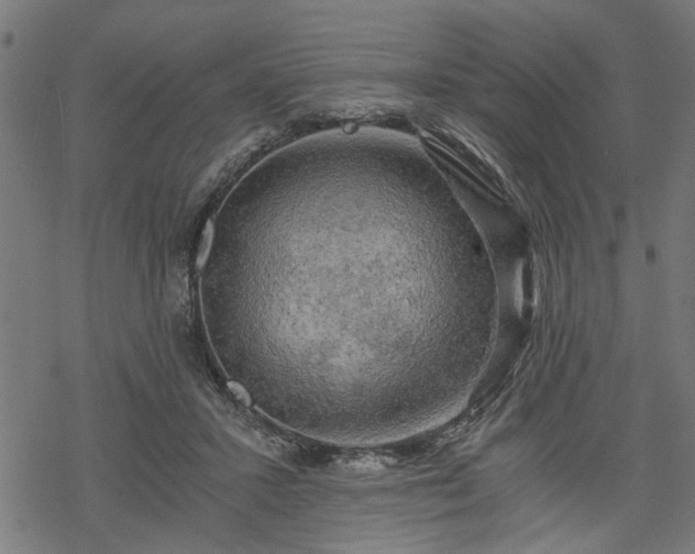 X0000068850407200605081220