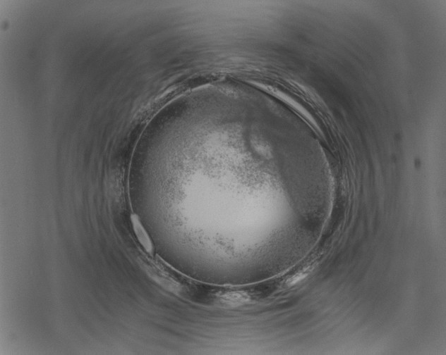 X0000068850409200605081220