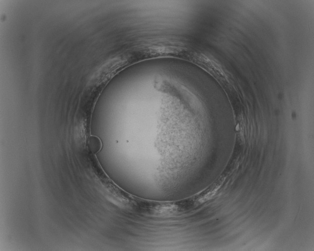 X0000068850410200605081220