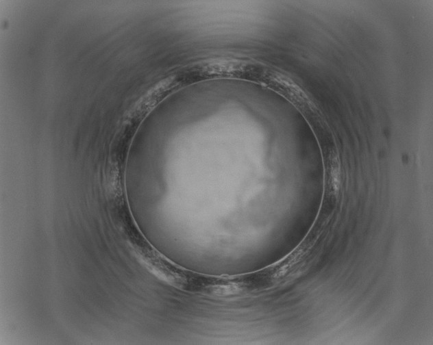 X0000068850411200605081220