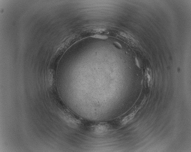 X0000068850412200605081220