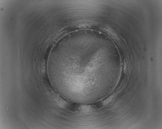 X0000068850413200605081220