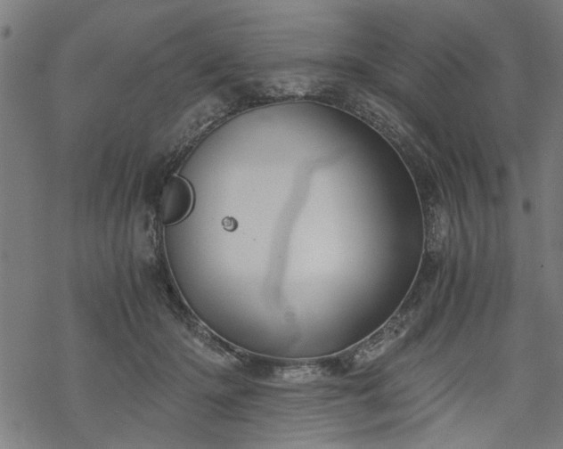 X0000068850414200605081220