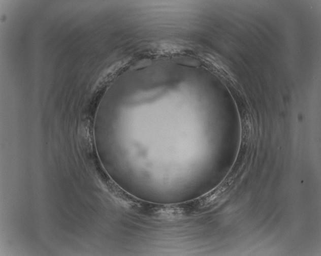 X0000068850415200605081220