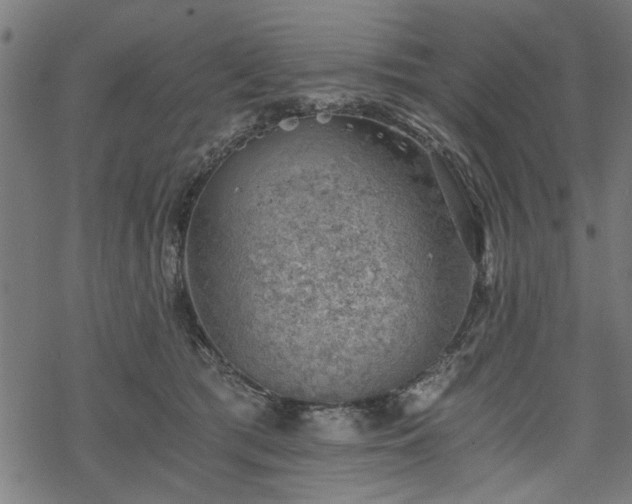 X0000068850417200605081220