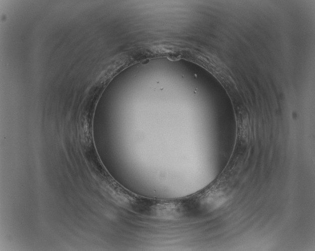 X0000068850418200605081220