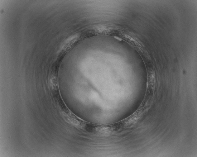 X0000068850419200605081220