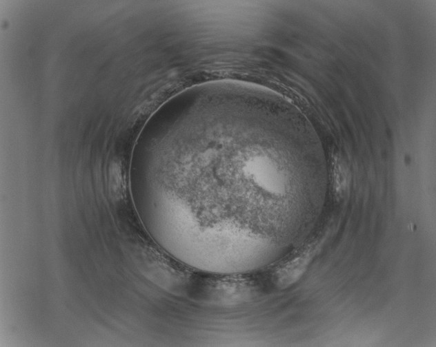 X0000068850420200605081220