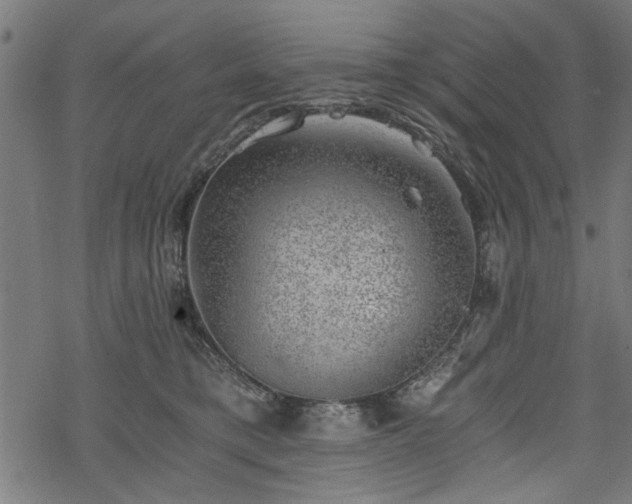 X0000068850421200605081220