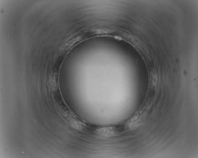 X0000068850422200605081220