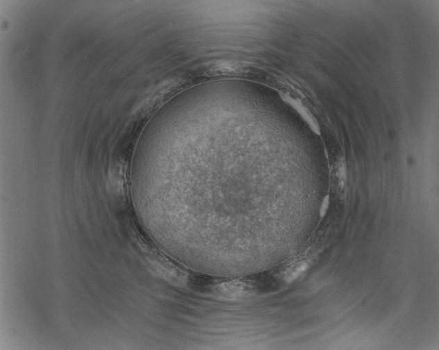 X0000068850423200605081220