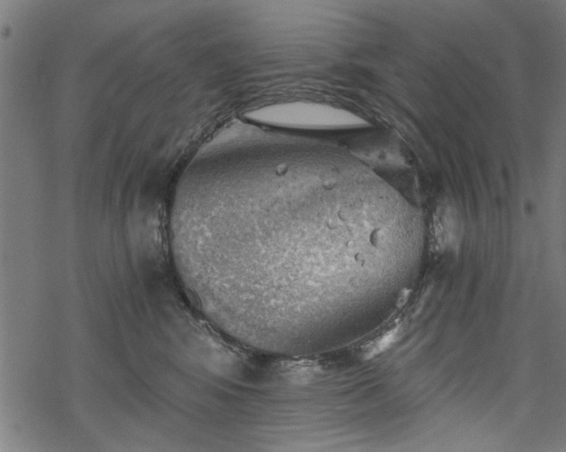 X0000068850424200605081220