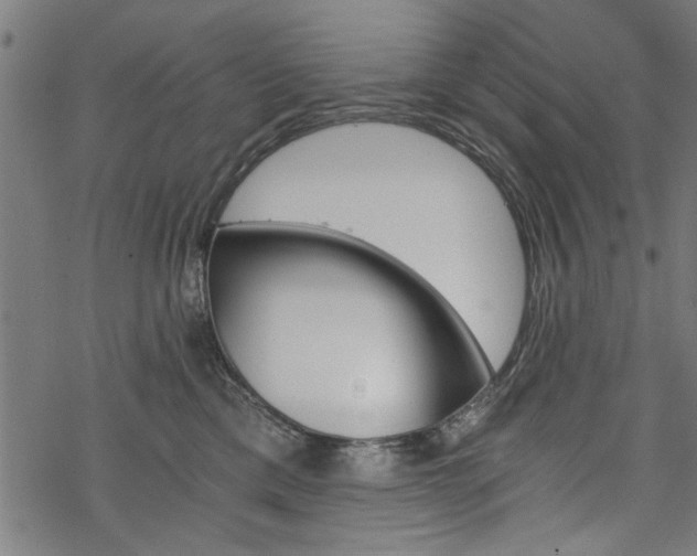 X0000068850425200605081220