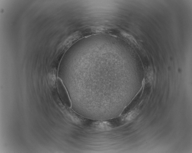 X0000068850427200605081220