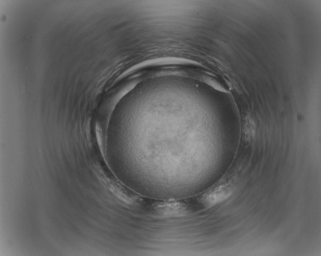 X0000068850428200605081220