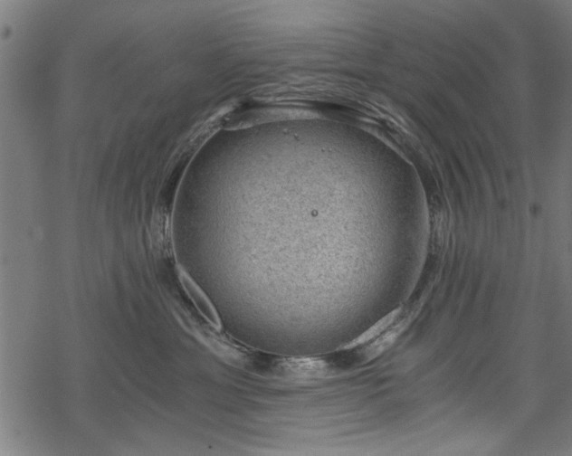 X0000068850429200605081219