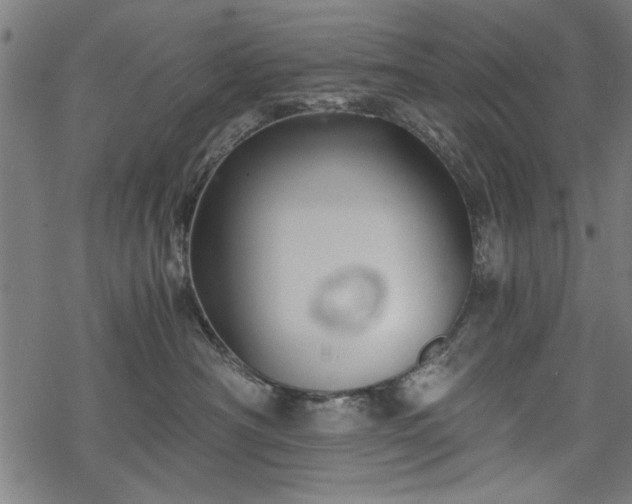 X0000068850430200605081219