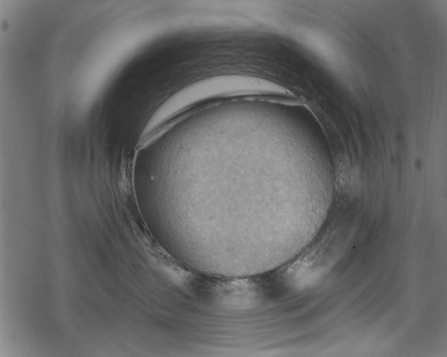 X0000068850431200605081219