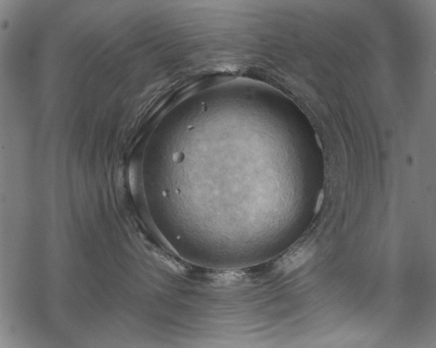 X0000068850432200605081219