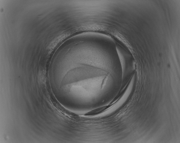 X0000068850434200605081219