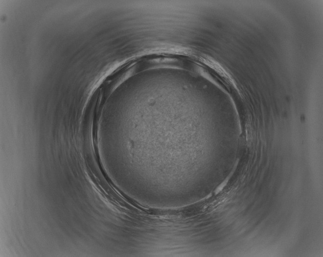 X0000068850436200605081219