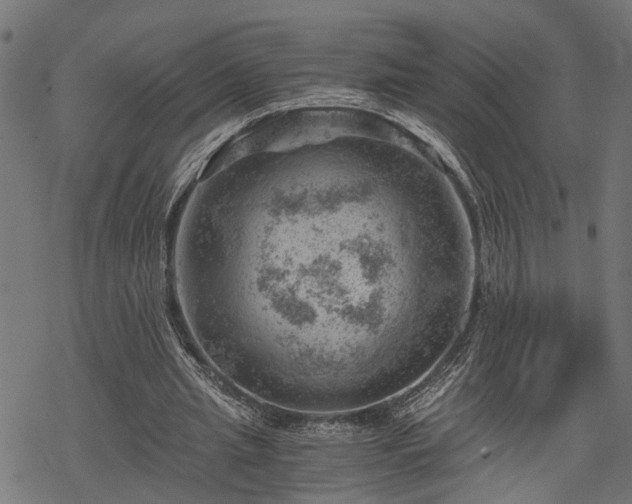 X0000068850437200605081219