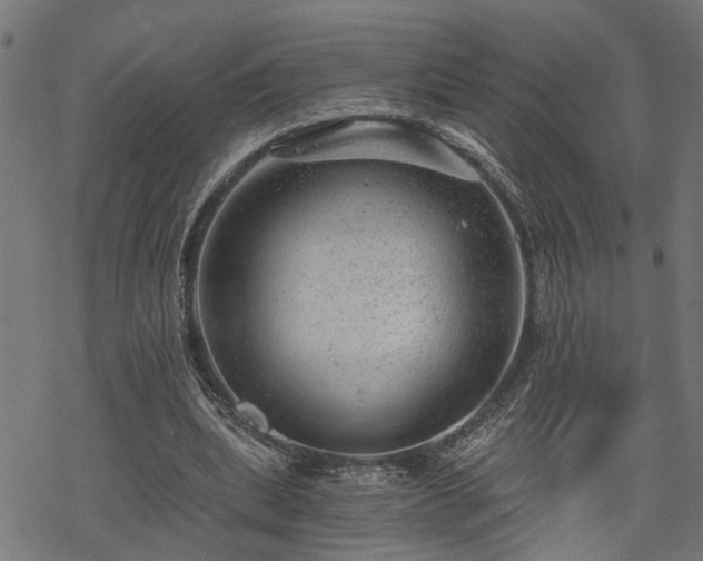 X0000068850439200605081219