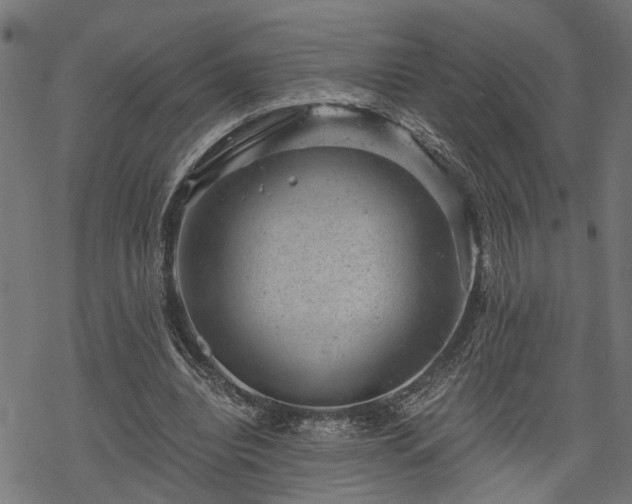 X0000068850440200605081219