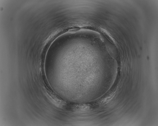 X0000068850443200605081219