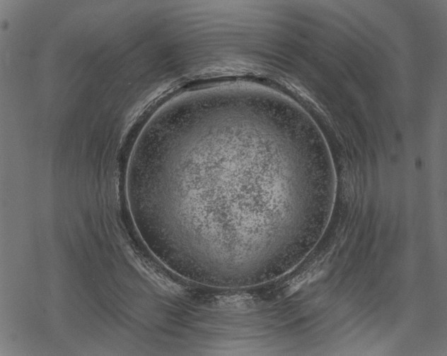 X0000068850446200605081219