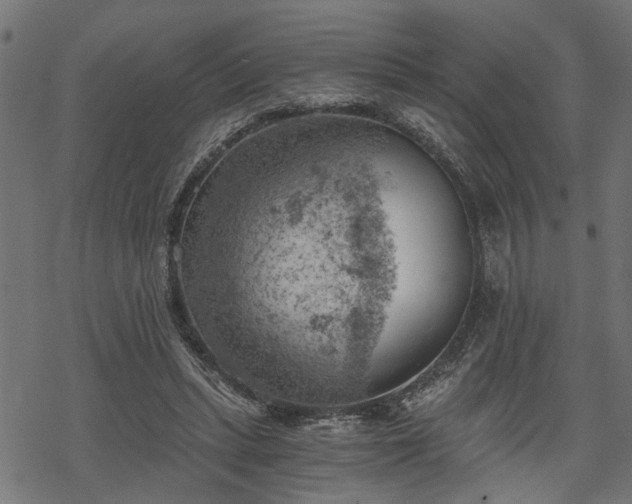 X0000068850447200605081219