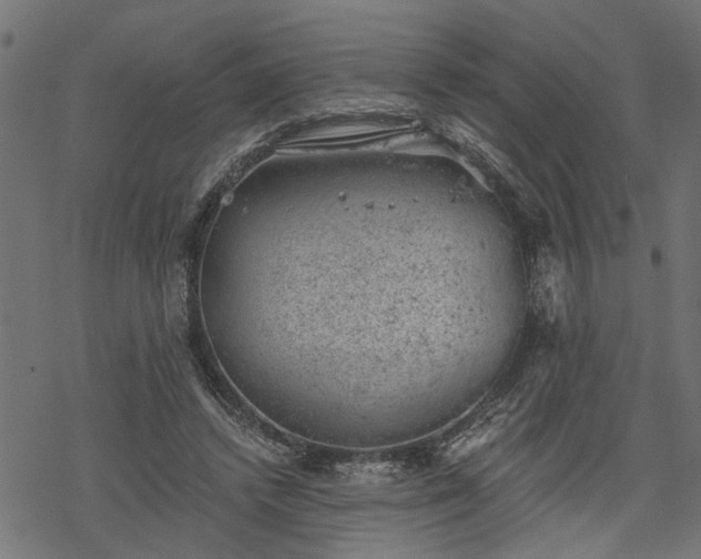 X0000068850448200605081219