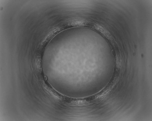 X0000068850449200605081219