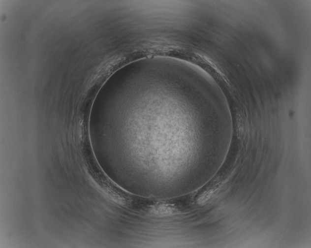 X0000068850451200605081219