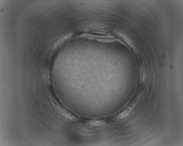 X0000068850453200605081219