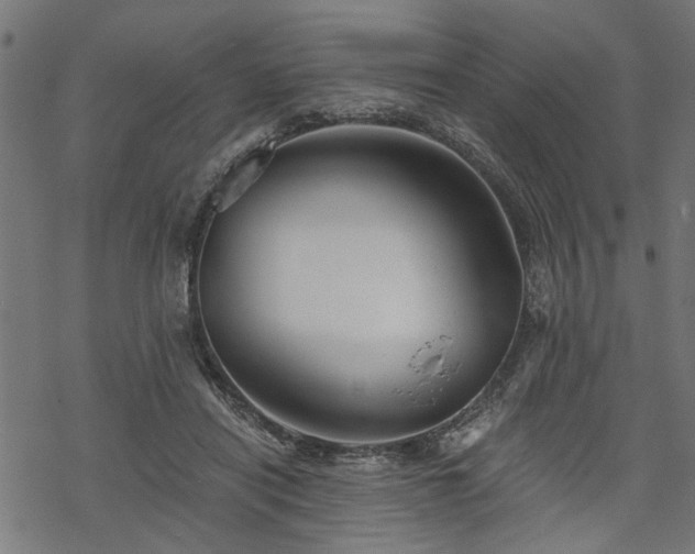 X0000068850454200605081219