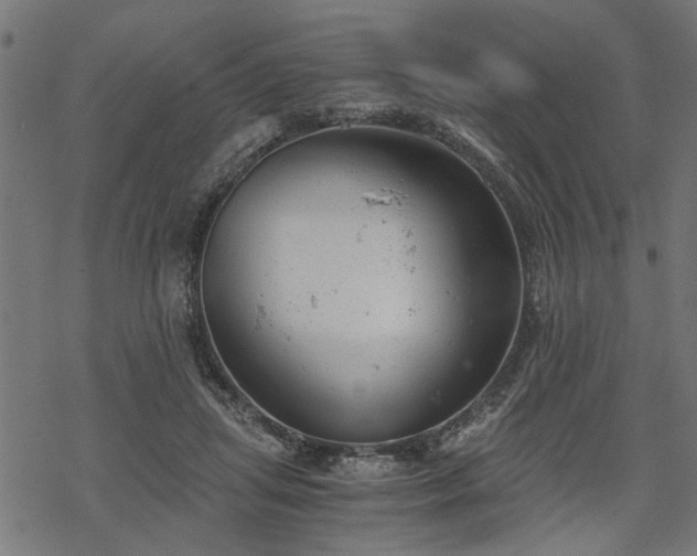 X0000068850455200605081219