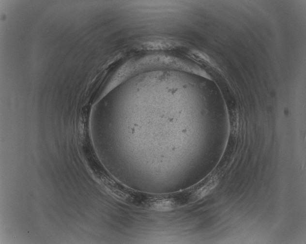 X0000068850456200605081219