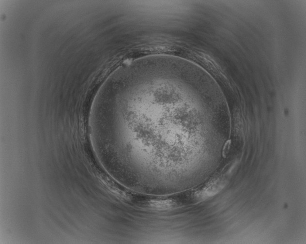 X0000068850457200605081219