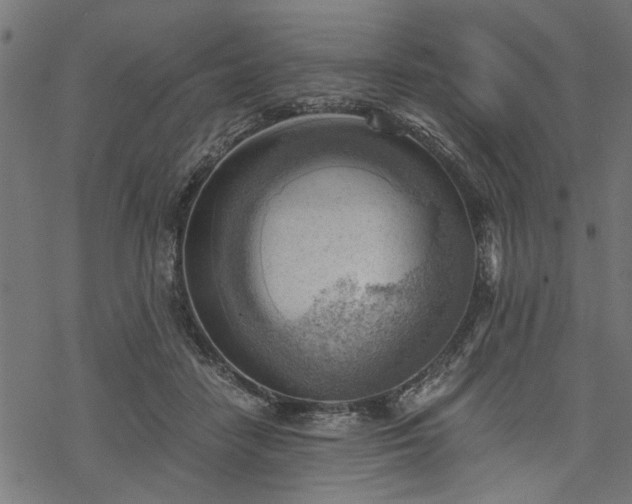 X0000068850458200605081219