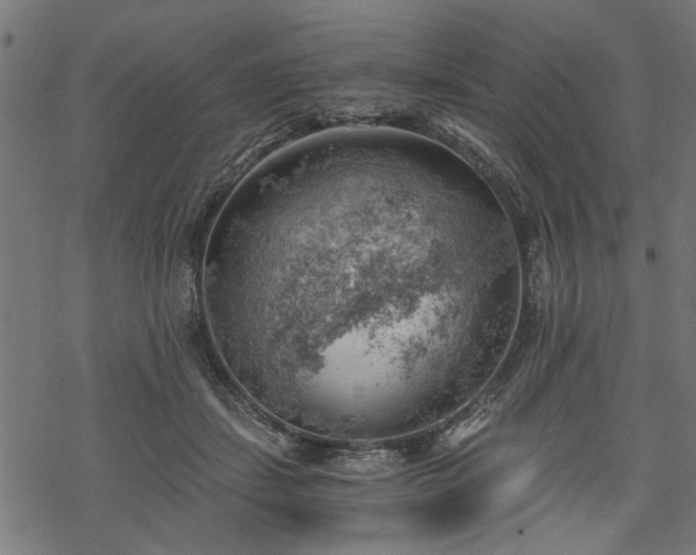 X0000068850459200605081219