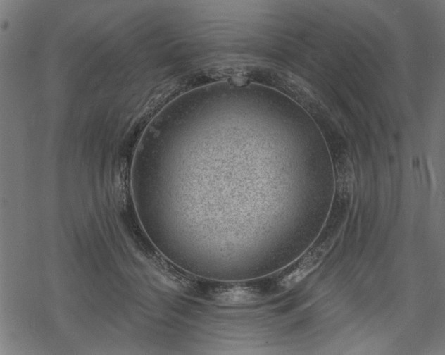 X0000068850460200605081219