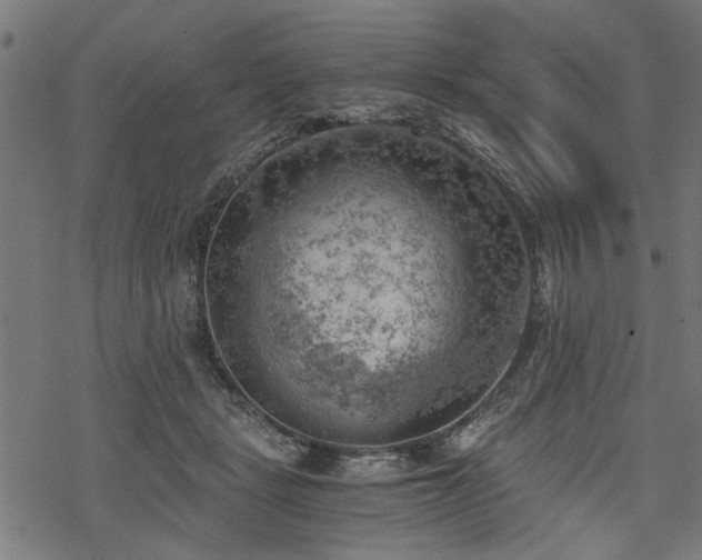 X0000068850461200605081219