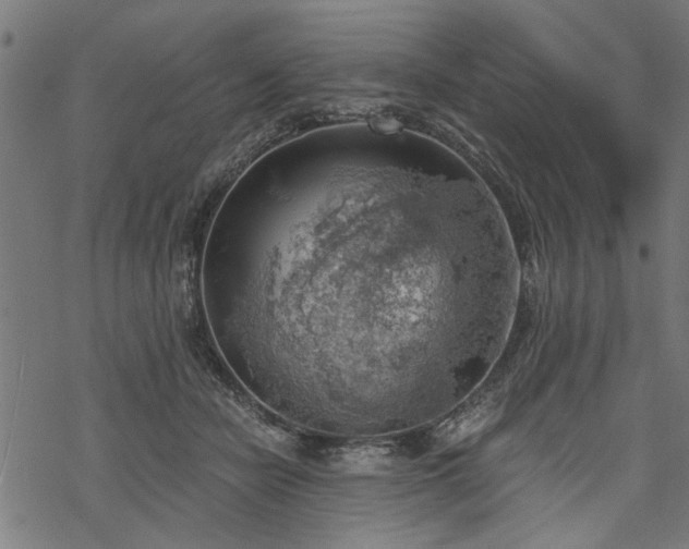 X0000068850462200605081219