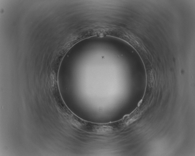 X0000068850463200605081219