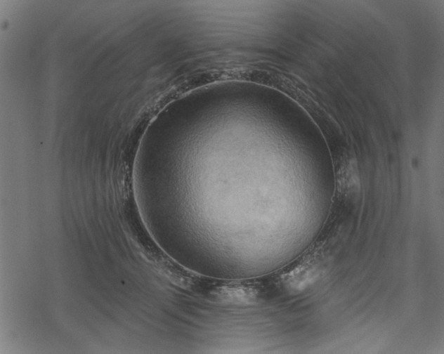 X0000068850464200605081219